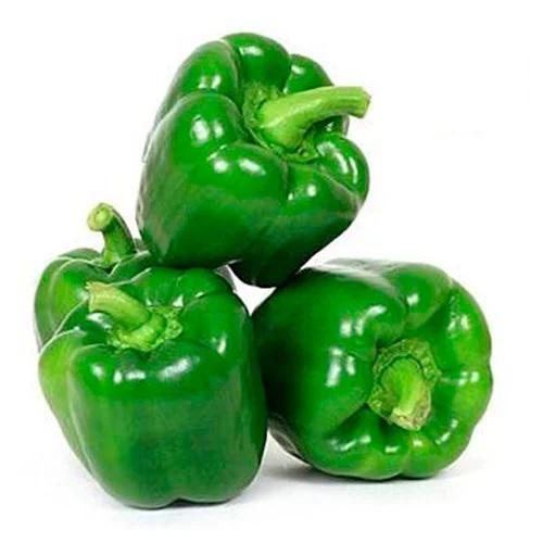 Pimentão Verde kg