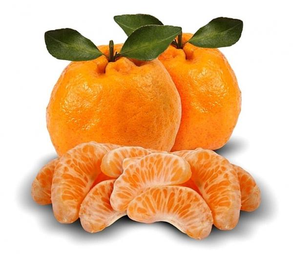 Tangerina Ponkan kg
