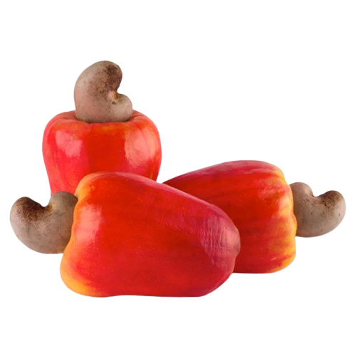 CAJU KILO