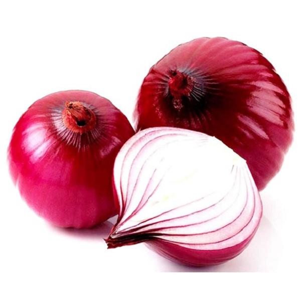 CEBOLA ROXA KILO