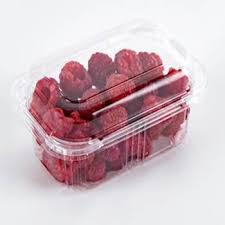 FRAMBOESA SANTA RITA 100G