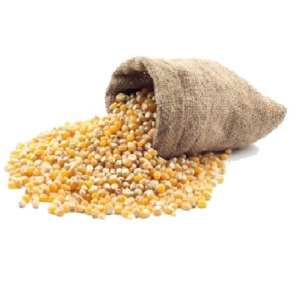 SACO DE MILHO 47K
