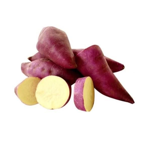 CEASA BATATA DOCE ROXA KG