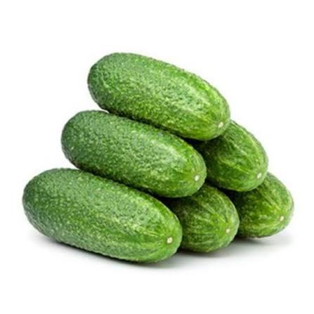 CEASA MINI PEPINO LISO PIOVESAN BD 250G