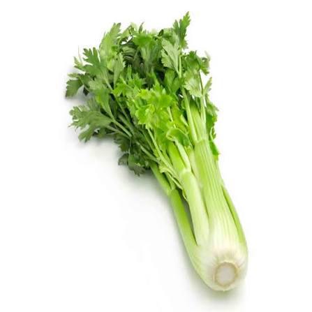 CEASA SALSAO 100G UN