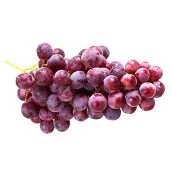 CEASA UVA BENETAKA KG