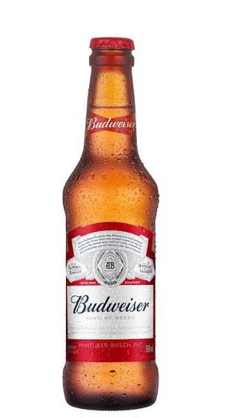 CERVEJA BUDWEISER L.N 330ML