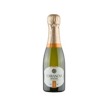ESPUMANTE MIOLO 187ML TERRANOVA BRUT