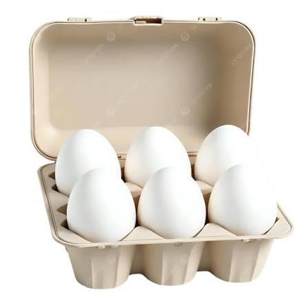 OVOS BRAMBILLA PVC C/6UN BRANCO