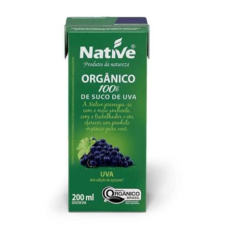 SUCO NATIVE TP 200ML ORGANICO UVA