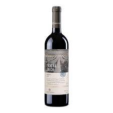 VINHO CASA PERINI 750ML FRACAO UNICA MERLOT