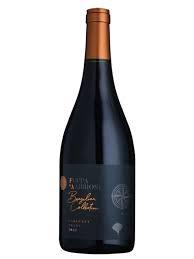 VINHO FOPPA E AMBROSI 750ML BRAZILIAN COL.CABERNET FRANC