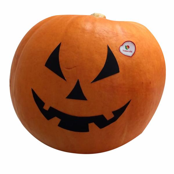 Abóbora Hallowen Trebeschi Kg