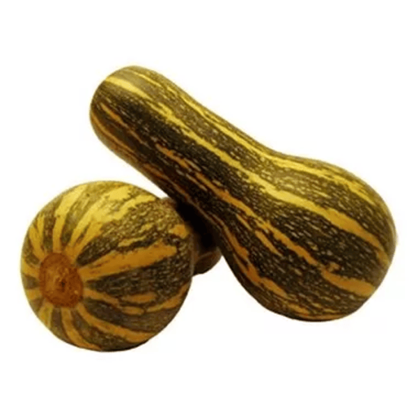 Abóbora Pescoço Kg
