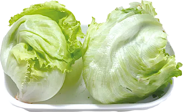 Alface Americana Bandeja