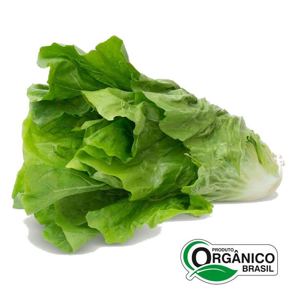 Almeirão Orgânico Maço Luzzi Und
