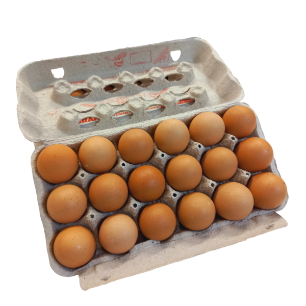 Bandeja de Ovos Vermelhos Extra Catarina C/18 Unds