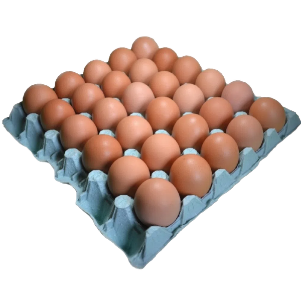 Bandeja de Ovos Vermelhos Grande Mantiqueira C/30