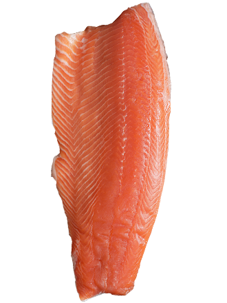 Filé de Salmão Premium Fishoo 1500/2000 Kg