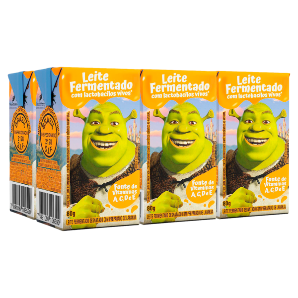 Leite Fermentado Shrek Laranja Batavo 480g