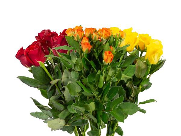 Flor Maço Rosa Spray