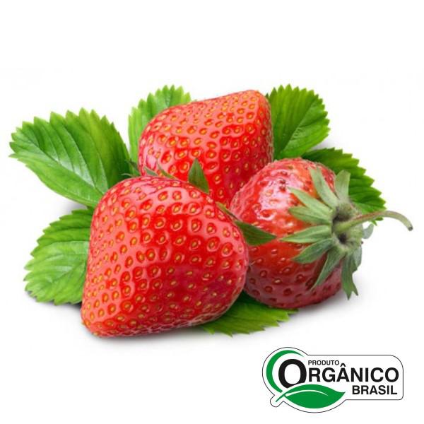 Morango Orgânico Luzzi 250g