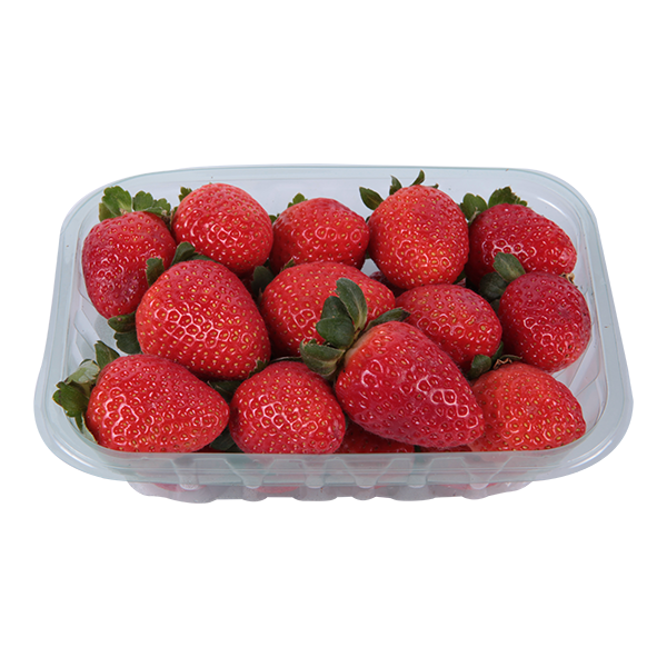 Morango Semi Hidroponico Schweitzer 300g