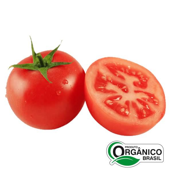 Tomate Orgânico Luzzi Bdj 500g
