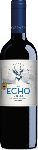 Vinho Merlot Classic Andes Echo 750ml