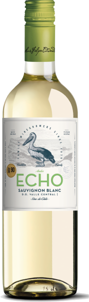 Vinho Sauvignon Blanc Classic Andes Echo 750ml
