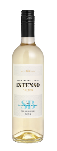 Vinho Sauvignon Blanc Intenso Salton 750ml