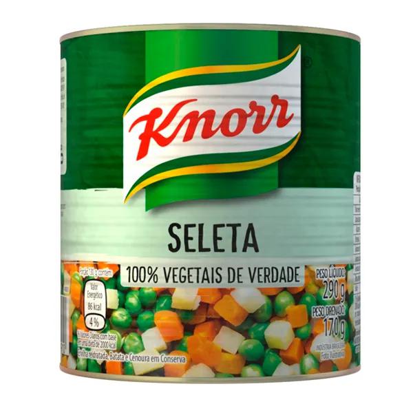 KNORR CONS SELETA  KNORR 170G