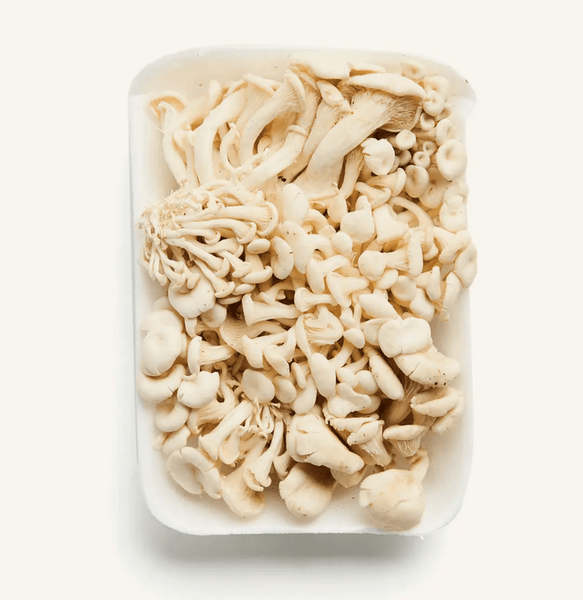 COGUMELO GUINTER 200G SHIMEJI BRANCO