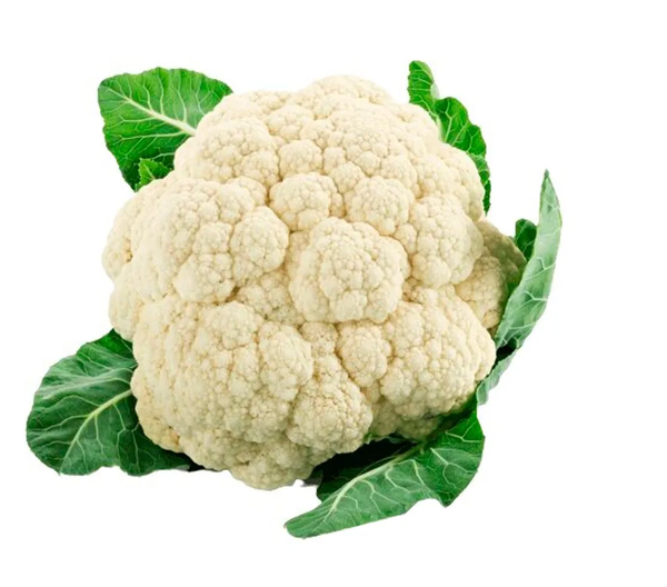 COUVE FLOR FRUTTICIPRI UND