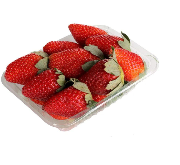MORANGOS FRUTTICIPRI BDJ/250G