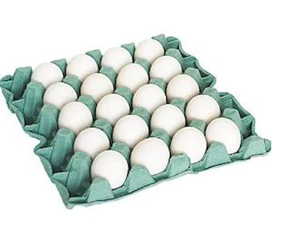 OVOS GALINHA HORST BDJ/20UND BRANCO