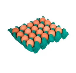 OVOS GALINHA HORST BDJ/20UND VERMELHO
