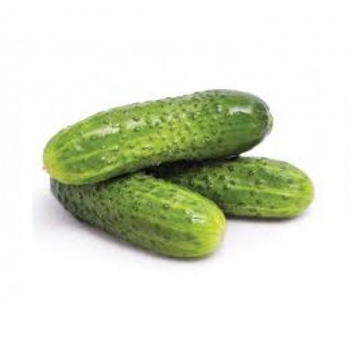 PEPINO CONSERVA  KG