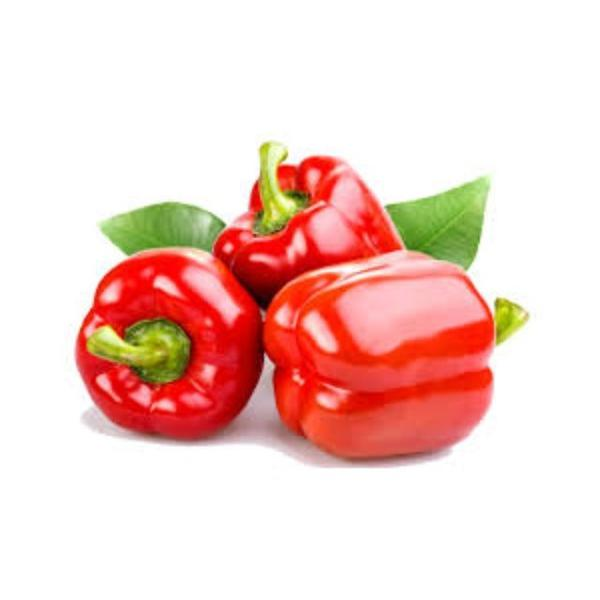 PIMENTAO CONSERVA  KG