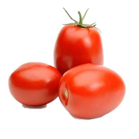 TOMATE RASTEIRO KG