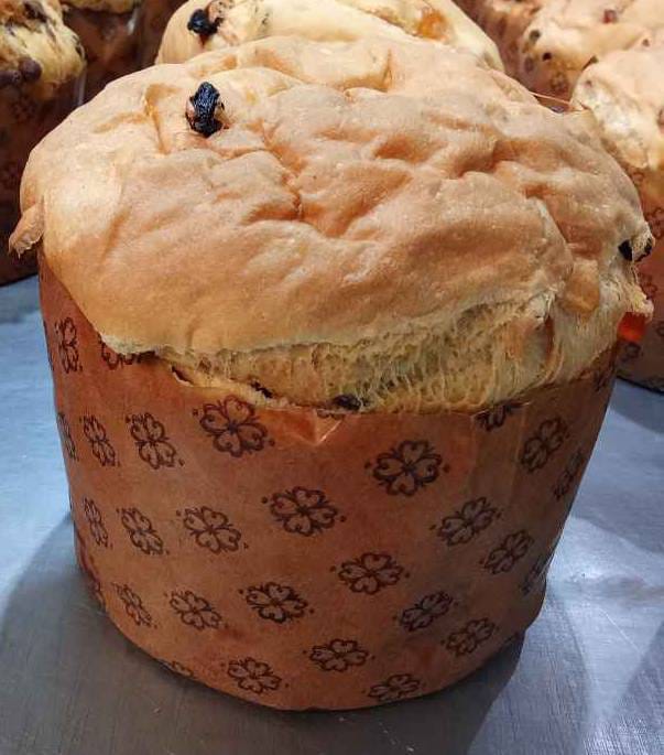 PANETONE CANTO BRAVO KG