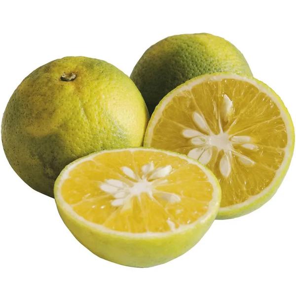 LARANJA LIMA KG
