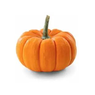 Flv Abobora  Halloween Kg