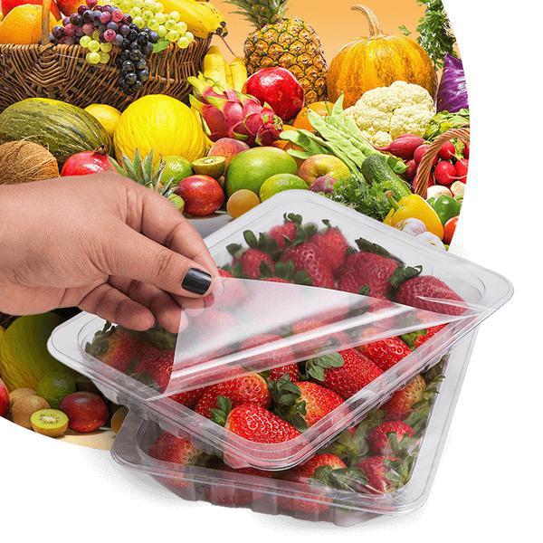 Flv Proc Fruta Espremida C.A. 300ml Tangerina