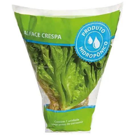 ALFACE HIDROPONICO UN