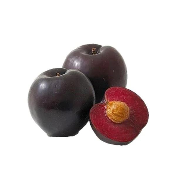 AMEIXA FRESCA BLACK IMP ELEG KG