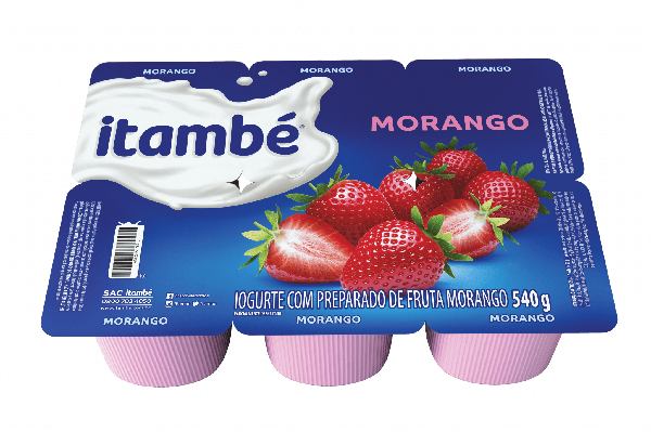 BEBIDA LACTEA POLPA MORANGO ITAMBE 540G