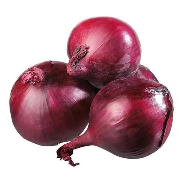 CEBOLA ROXA KG