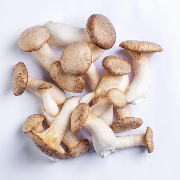 COGUMELO ERYNGUI 200G