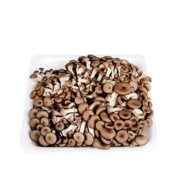 COGUMELO SHIMEJI PRETO 200G